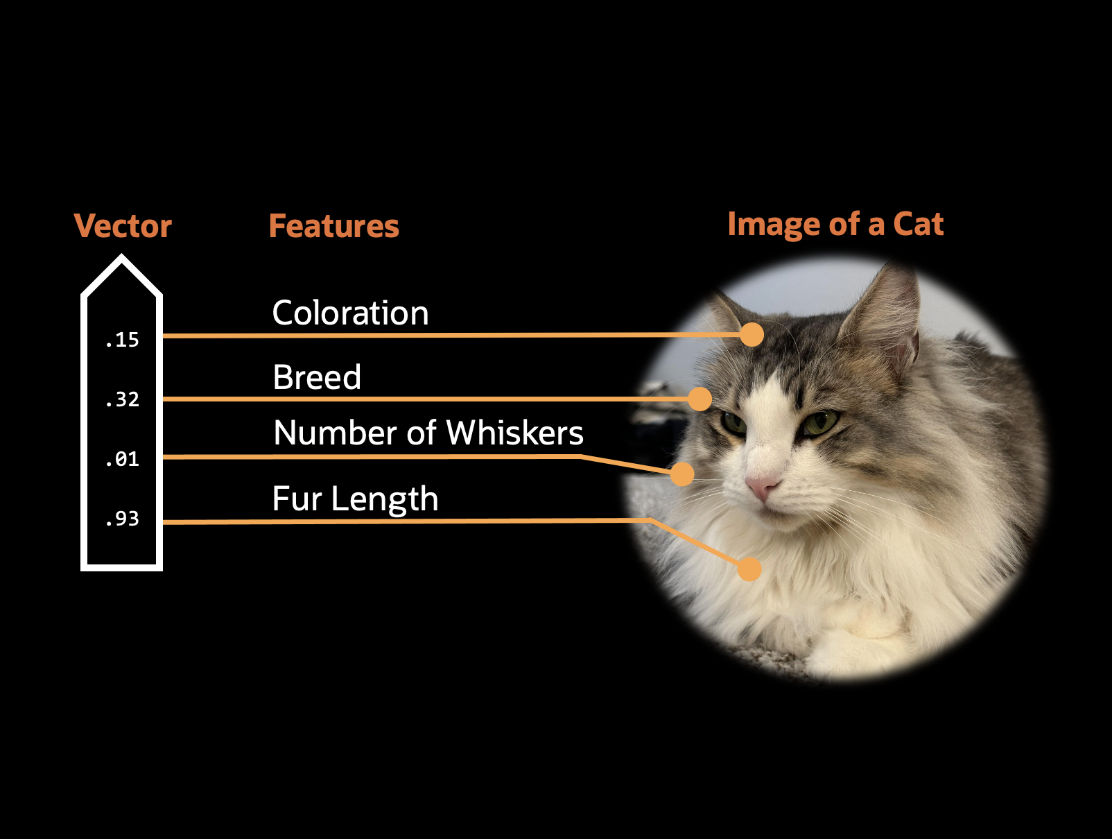 What’s a Vector Database?
